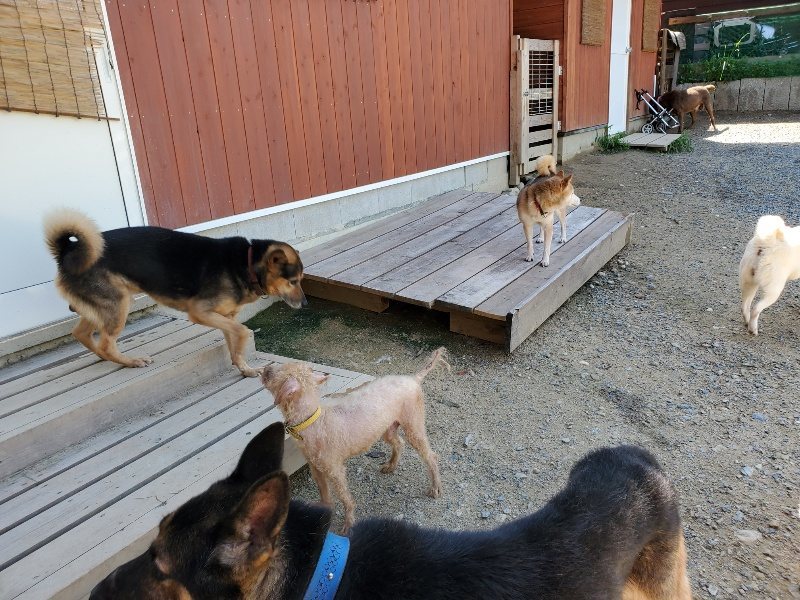 f:id:roukenhome-ann:20190908162453j:plain