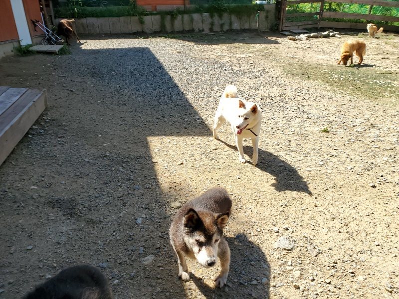 f:id:roukenhome-ann:20190908162501j:plain