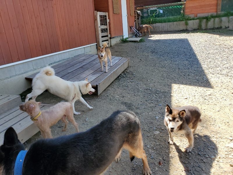 f:id:roukenhome-ann:20190908162512j:plain