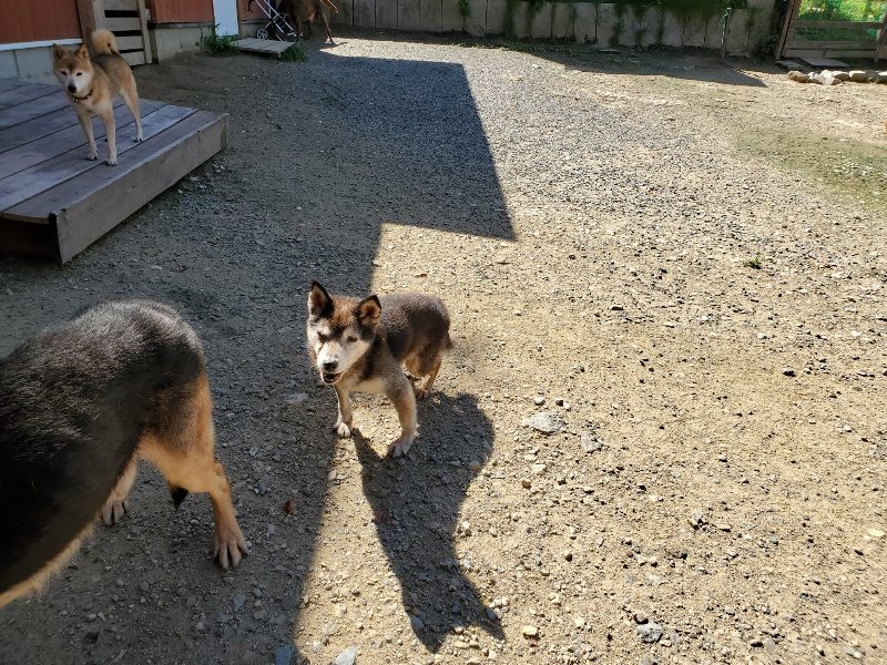 f:id:roukenhome-ann:20190908162520j:plain