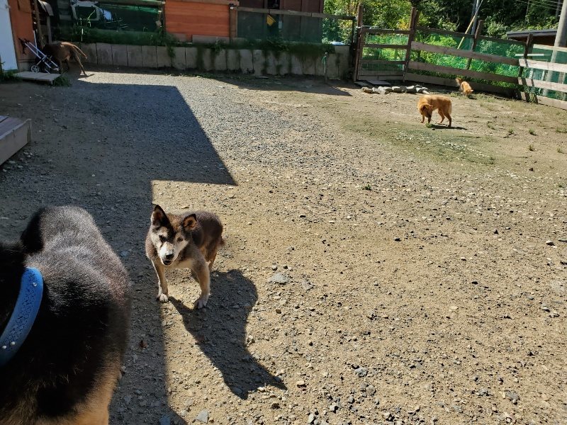 f:id:roukenhome-ann:20190908162531j:plain