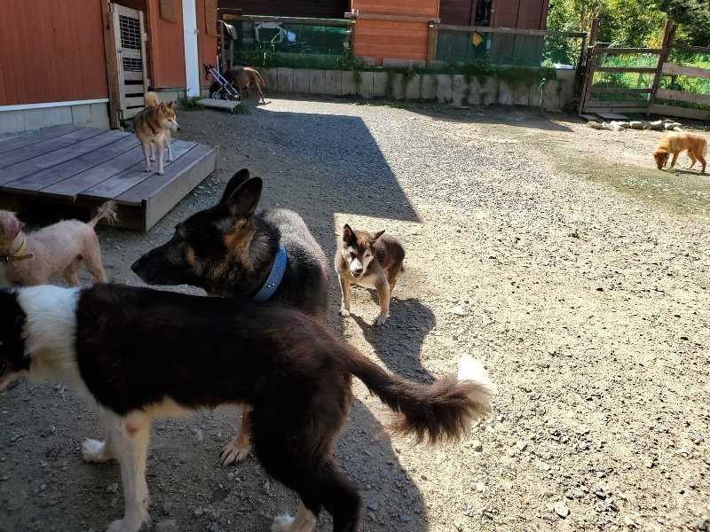 f:id:roukenhome-ann:20190908162542j:plain