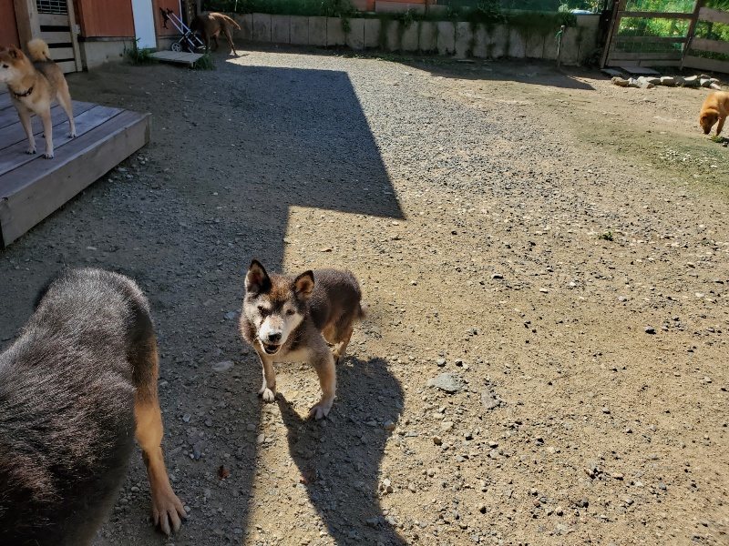 f:id:roukenhome-ann:20190908162551j:plain