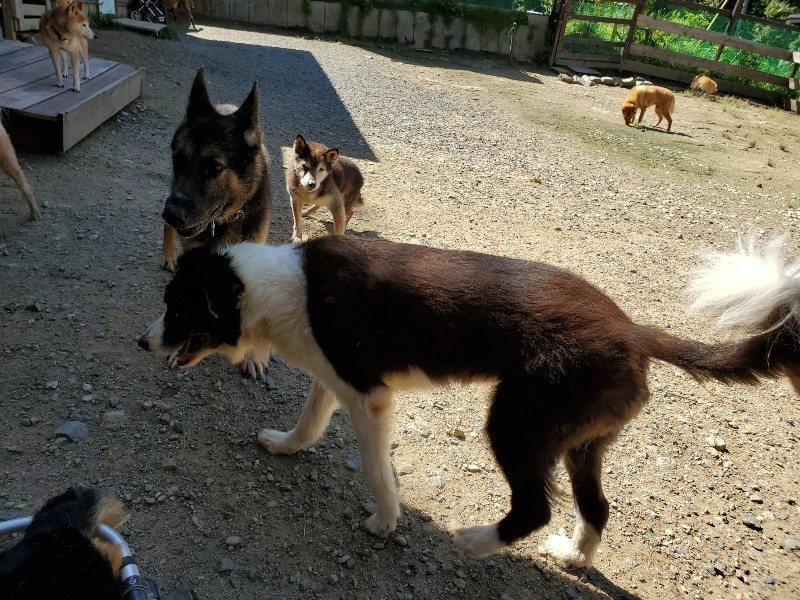 f:id:roukenhome-ann:20190908162559j:plain