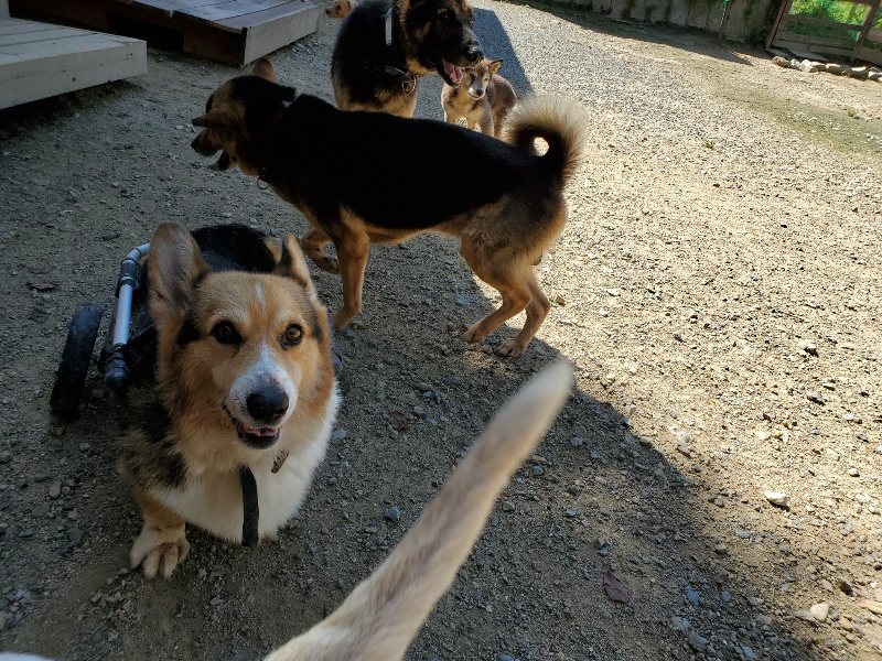 f:id:roukenhome-ann:20190908162635j:plain