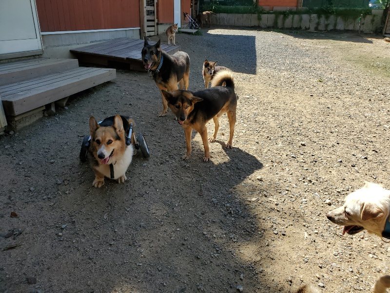 f:id:roukenhome-ann:20190908162657j:plain