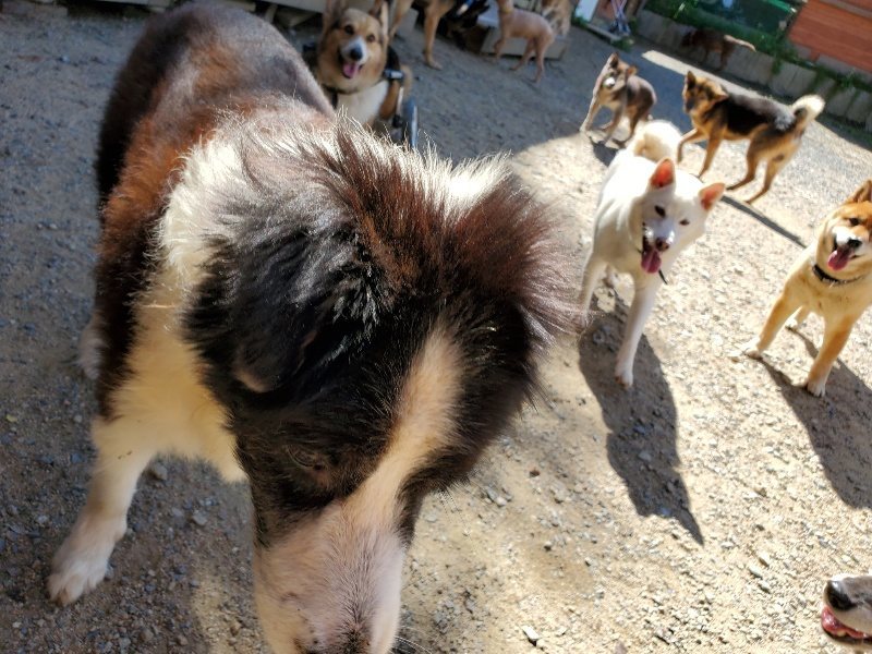 f:id:roukenhome-ann:20190908162734j:plain