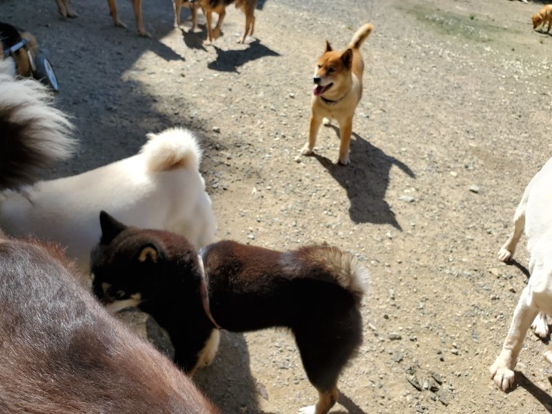 f:id:roukenhome-ann:20190908162740j:plain