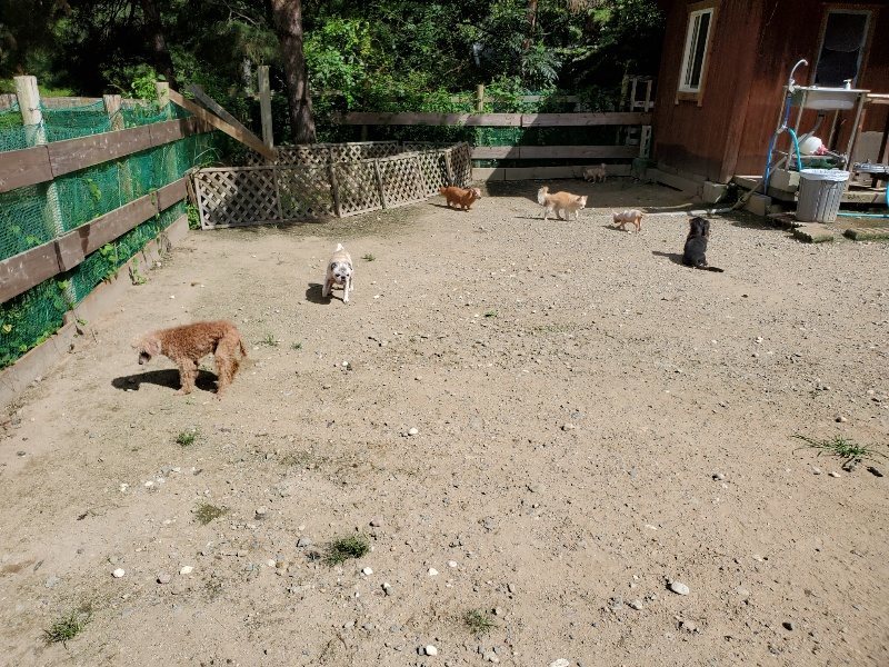 f:id:roukenhome-ann:20190908201258j:plain