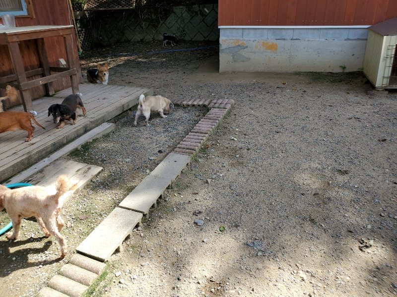 f:id:roukenhome-ann:20190908201449j:plain