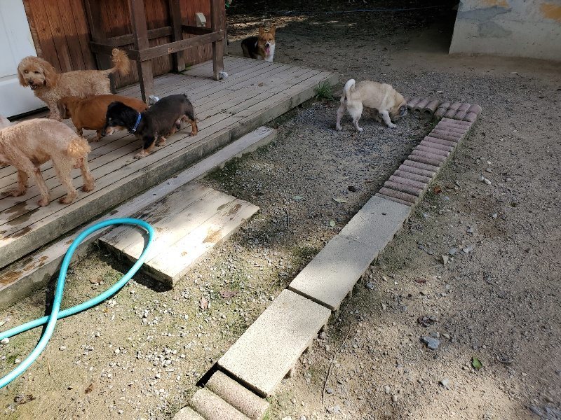 f:id:roukenhome-ann:20190908201459j:plain