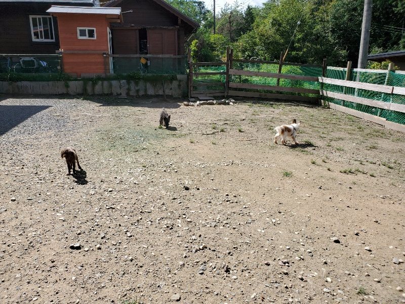f:id:roukenhome-ann:20190908201509j:plain
