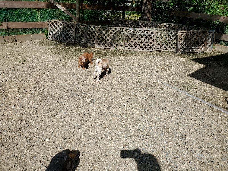 f:id:roukenhome-ann:20190908201528j:plain