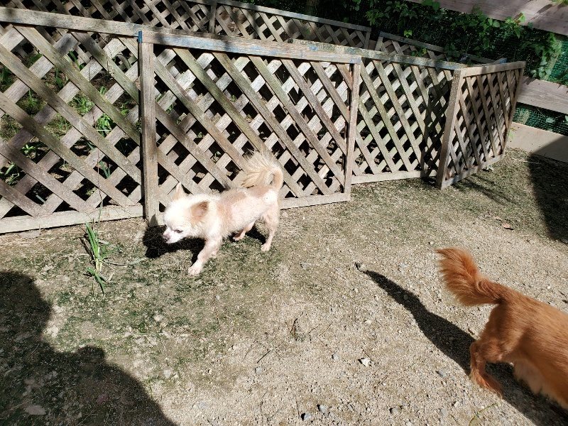 f:id:roukenhome-ann:20190908201702j:plain