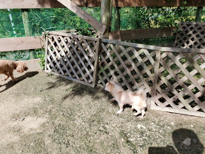 f:id:roukenhome-ann:20190908201709j:plain