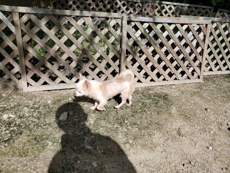 f:id:roukenhome-ann:20190908201721j:plain