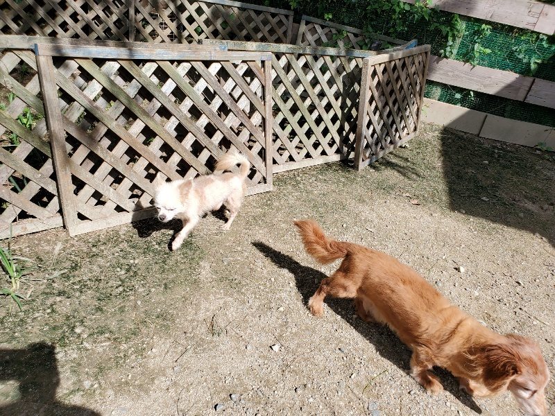 f:id:roukenhome-ann:20190908201730j:plain