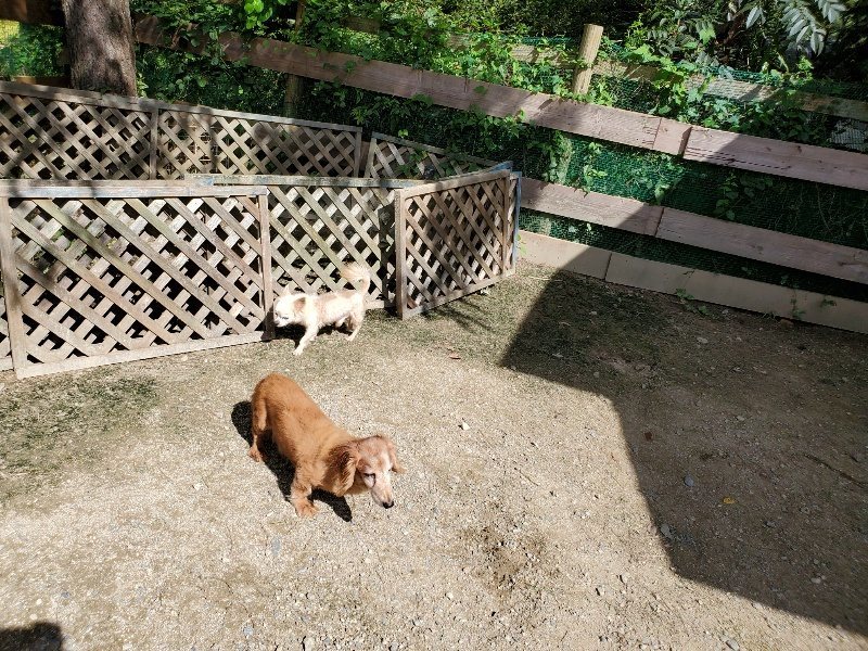 f:id:roukenhome-ann:20190908201740j:plain