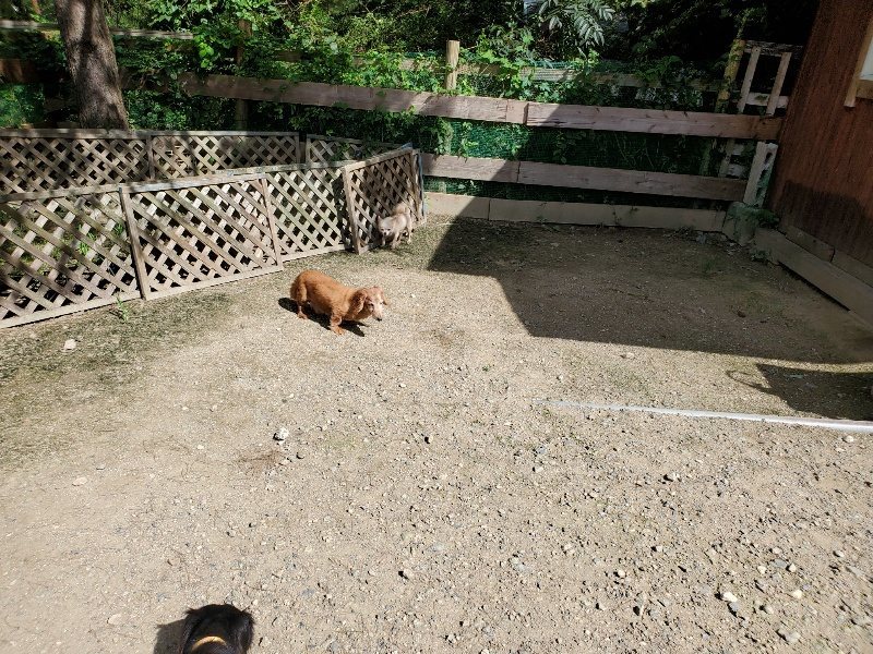 f:id:roukenhome-ann:20190908201757j:plain