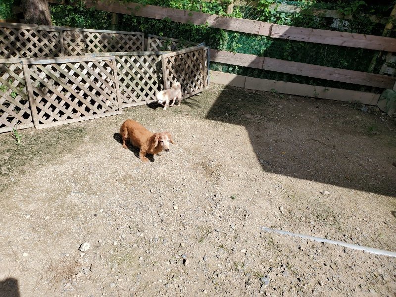 f:id:roukenhome-ann:20190908201804j:plain