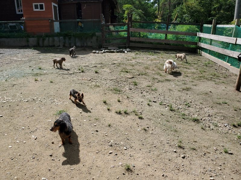 f:id:roukenhome-ann:20190908201813j:plain