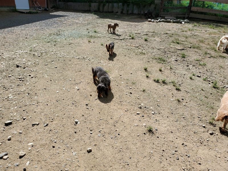 f:id:roukenhome-ann:20190908201843j:plain