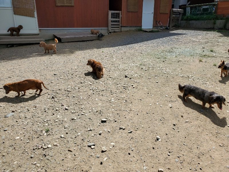 f:id:roukenhome-ann:20190908201850j:plain