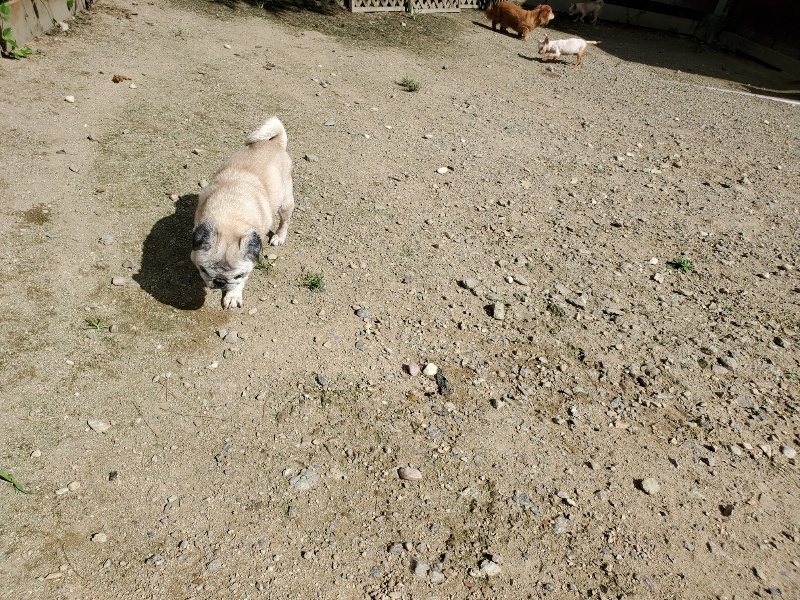 f:id:roukenhome-ann:20190908201900j:plain
