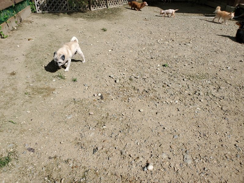 f:id:roukenhome-ann:20190908201928j:plain