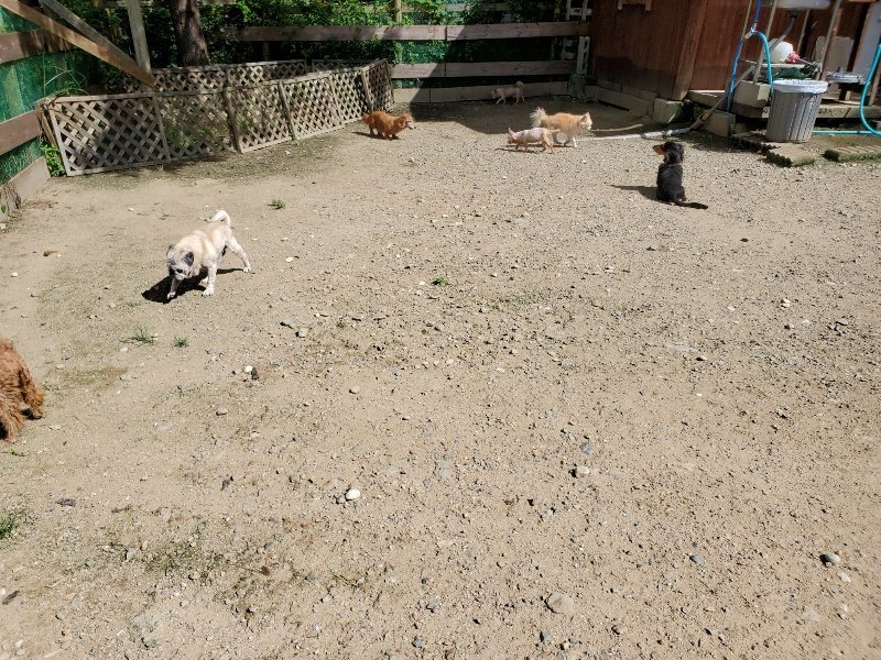 f:id:roukenhome-ann:20190908201936j:plain