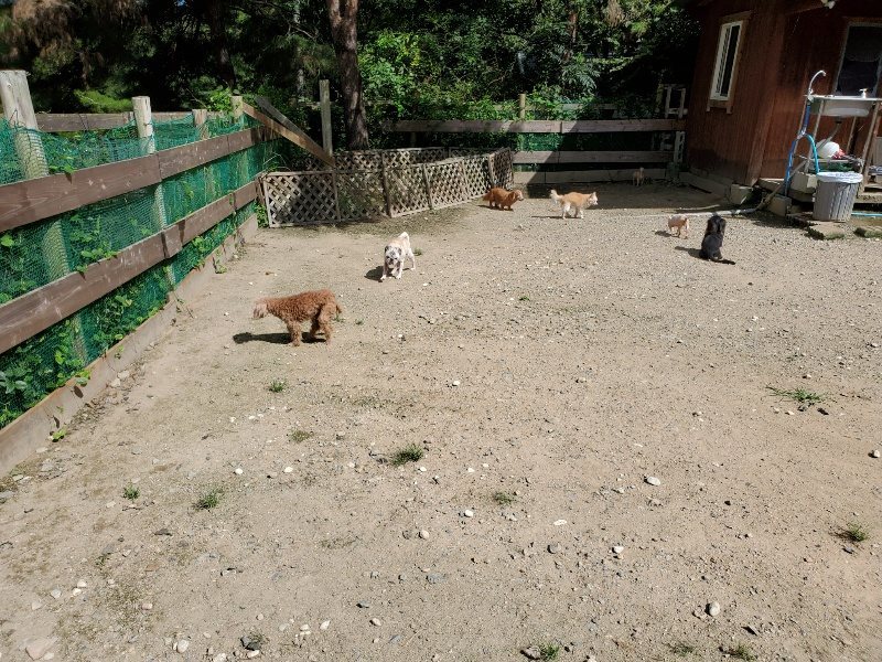 f:id:roukenhome-ann:20190908201941j:plain