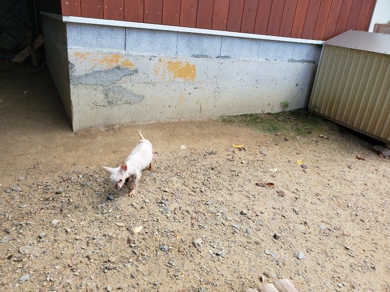 f:id:roukenhome-ann:20190908202858j:plain