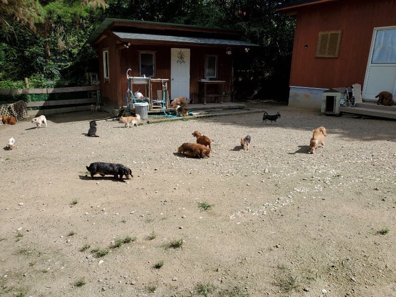 f:id:roukenhome-ann:20190908202938j:plain