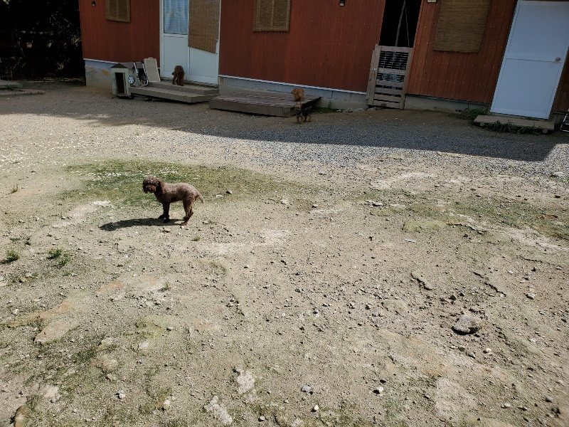 f:id:roukenhome-ann:20190908202955j:plain