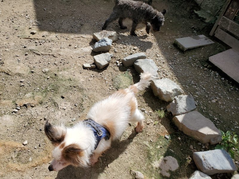 f:id:roukenhome-ann:20190908203002j:plain