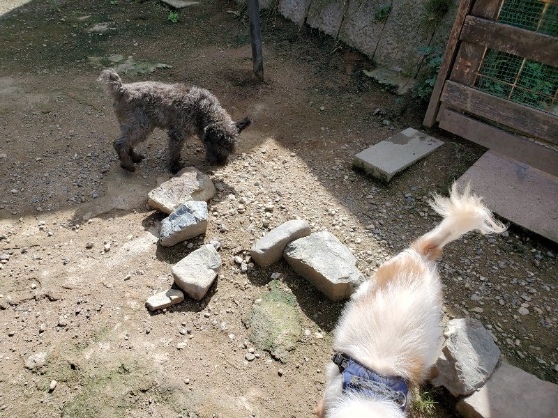 f:id:roukenhome-ann:20190908203013j:plain