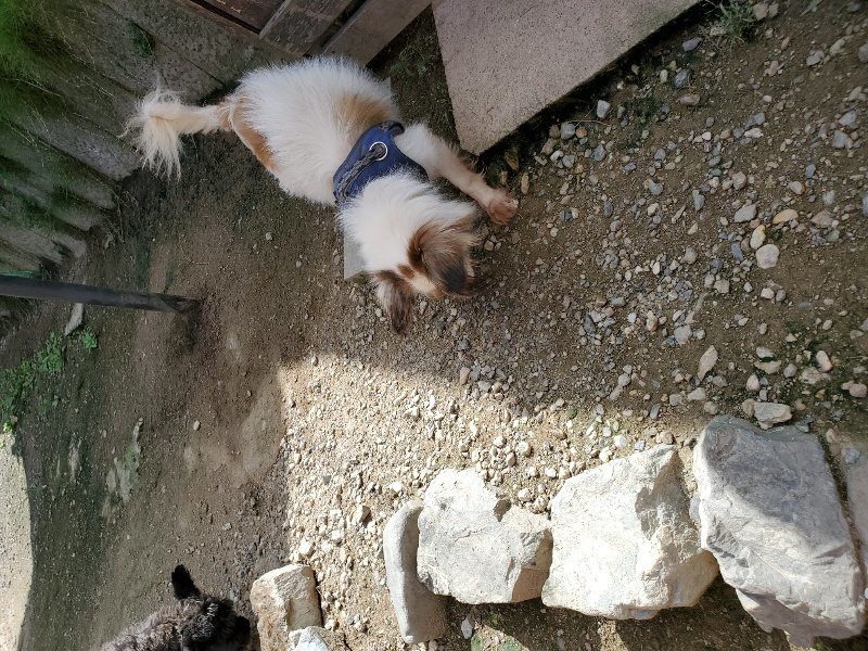 f:id:roukenhome-ann:20190908203021j:plain