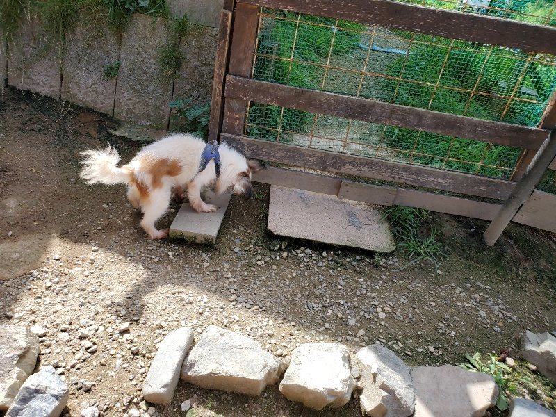 f:id:roukenhome-ann:20190908203049j:plain