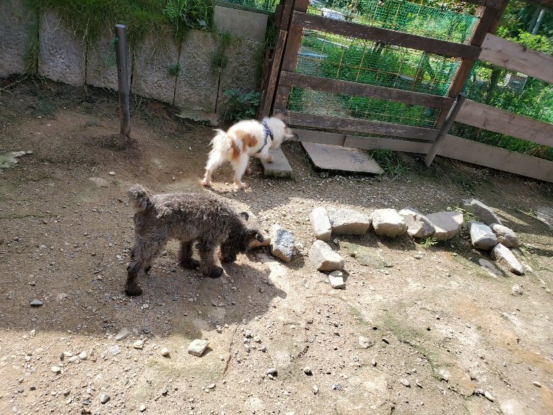 f:id:roukenhome-ann:20190908203056j:plain