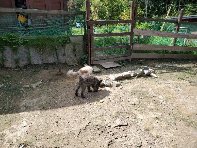 f:id:roukenhome-ann:20190908203110j:plain