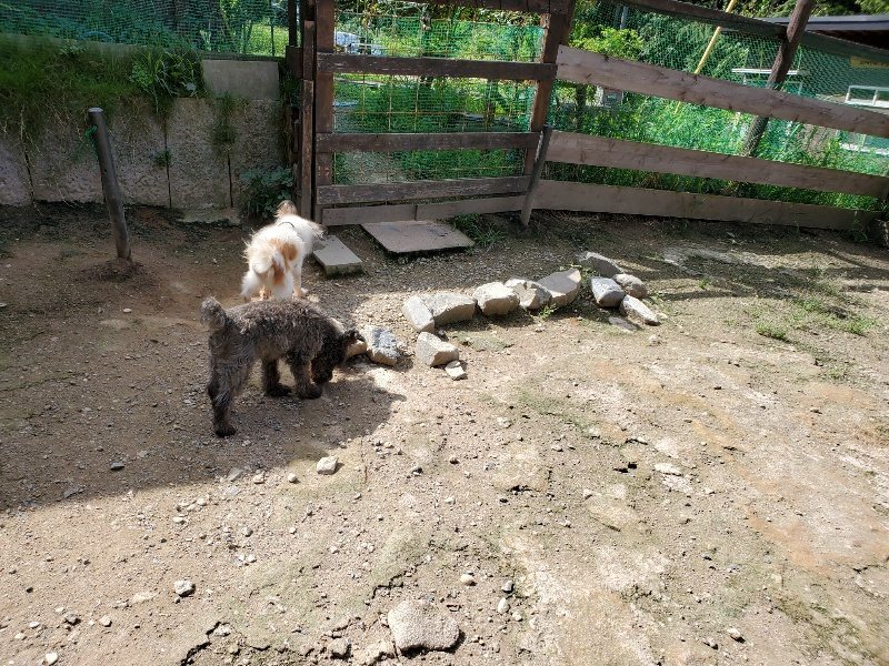 f:id:roukenhome-ann:20190908203117j:plain