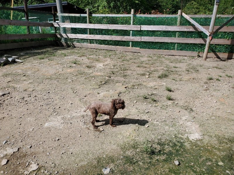 f:id:roukenhome-ann:20190908203124j:plain