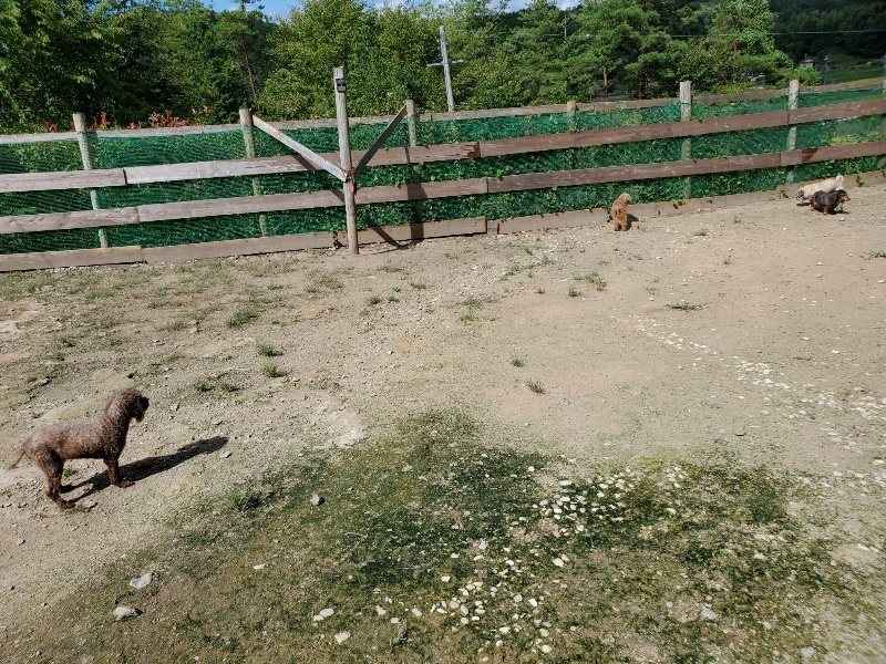 f:id:roukenhome-ann:20190908203131j:plain