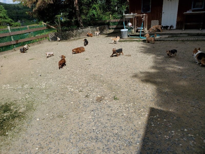 f:id:roukenhome-ann:20190908203140j:plain