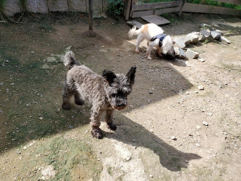 f:id:roukenhome-ann:20190908203148j:plain