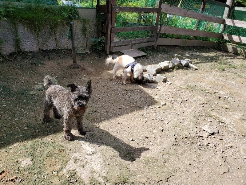 f:id:roukenhome-ann:20190908203204j:plain