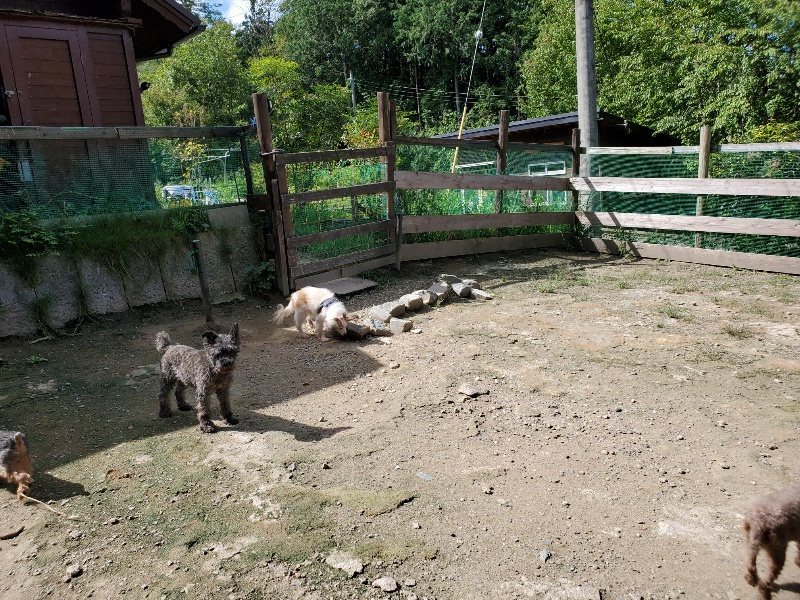 f:id:roukenhome-ann:20190908203214j:plain