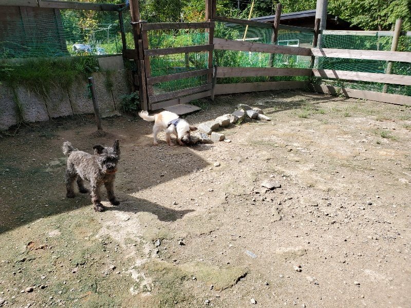 f:id:roukenhome-ann:20190908203223j:plain