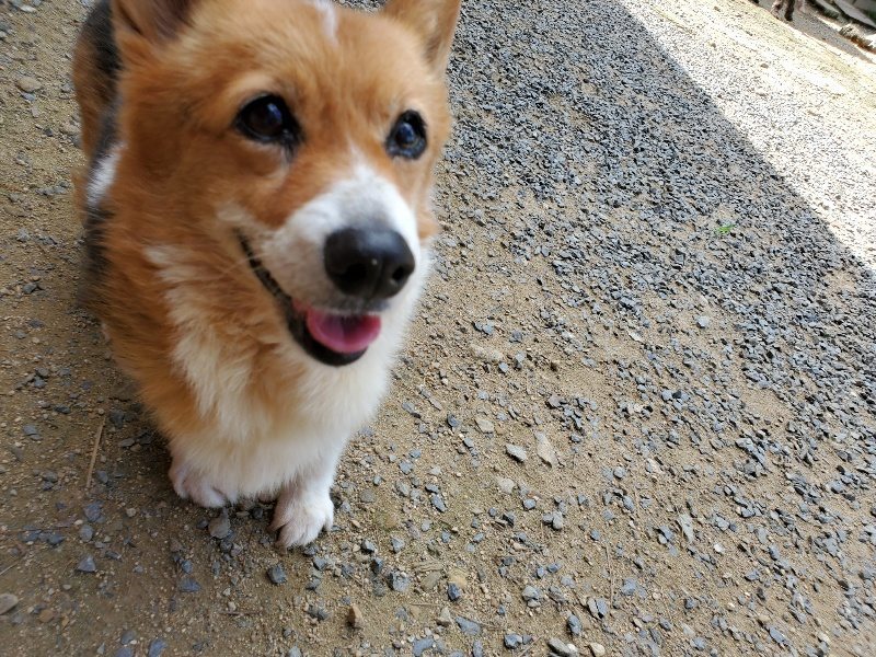 f:id:roukenhome-ann:20190908203304j:plain