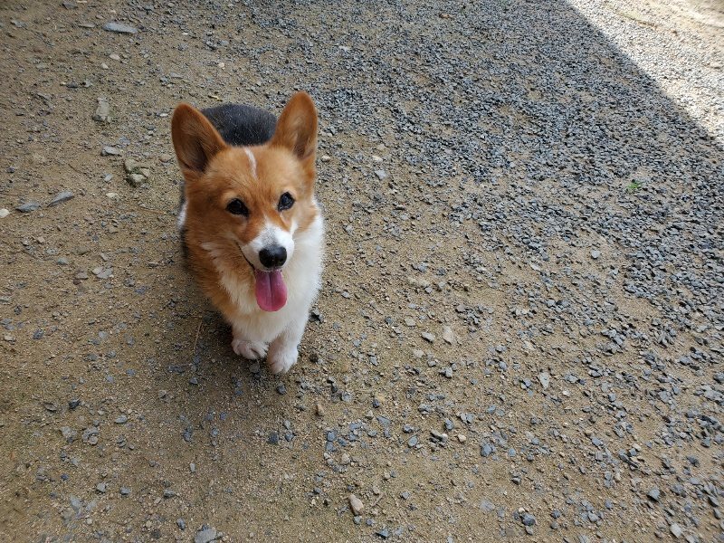 f:id:roukenhome-ann:20190908203314j:plain